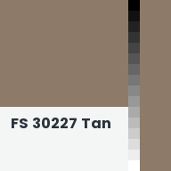 Color chip: FS 30227 Tan