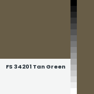 Color chip: FS 34201 Tan Green