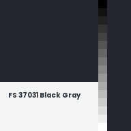 Color chip: FS 37031 Black Gray