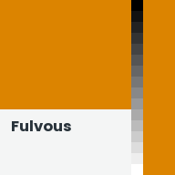 Color chip: Fulvous