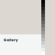 Color chip: Gallery