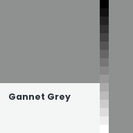Color chip: Gannet Grey