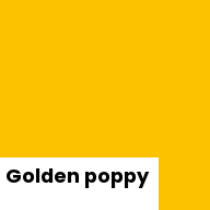 Color chip: Golden poppy