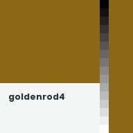 Color chip: goldenrod4