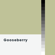 Color chip: Gooseberry