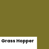 Color chip: Grass Hopper