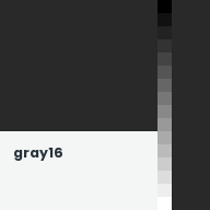 Color chip: gray16