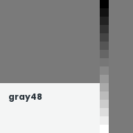 Color chip: gray48