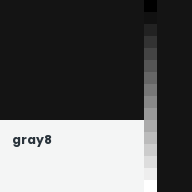 Color chip: gray8