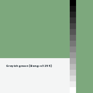Color chip: Grayish green (Bang-v3 255)