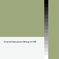 Color chip: Grayish lime green (Bang-v3 172)
