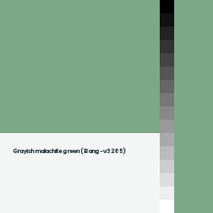 Color chip: Grayish malachite green (Bang-v3 285)