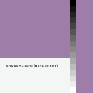 Color chip: Grayish mulberry (Bang-v3 565)