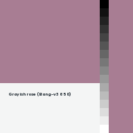 Color chip: Grayish rose (Bang-v3 650)