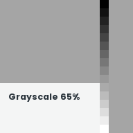 Color chip: Grayscale 65%