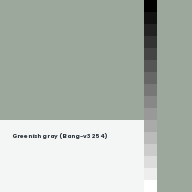 Color chip: Greenish gray (Bang-v3 254)