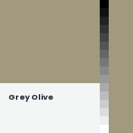 Color chip: Grey Olive
