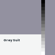 Color chip: Grey Suit