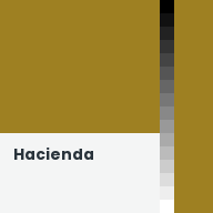 Color chip: Hacienda