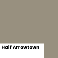 Color chip: Half Arrowtown
