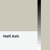 Color chip: Half Ash