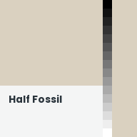 Color chip: Half Fossil