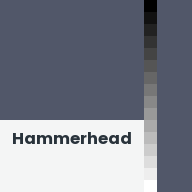 Color chip: Hammerhead