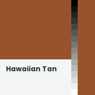 Color chip: Hawaiian Tan