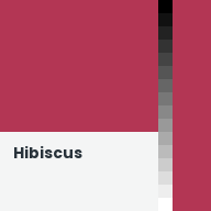 Color chip: Hibiscus