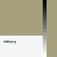Color chip: Hillary