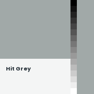 Color chip: Hit Grey