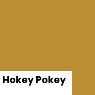 Color chip: Hokey Pokey