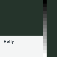 Color chip: Holly