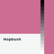 Color chip: Hopbush