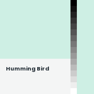Color chip: Humming Bird