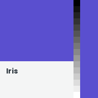 Color chip: Iris