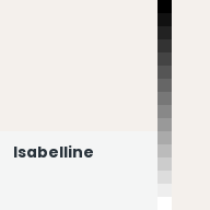 Color chip: Isabelline