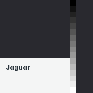 Color chip: Jaguar