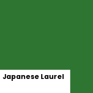 Color chip: Japanese Laurel