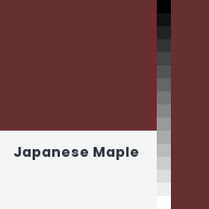 Color chip: Japanese Maple