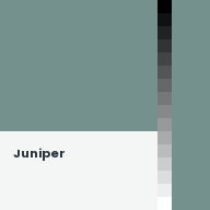 Color chip: Juniper