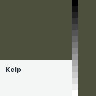 Color chip: Kelp