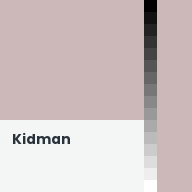 Color chip: Kidman