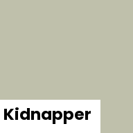Color chip: Kidnapper