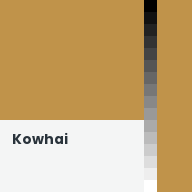 Color chip: Kowhai