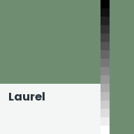 Color chip: Laurel