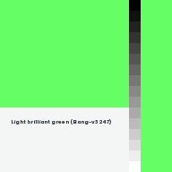 Color chip: Light brilliant green (Bang-v3 247)