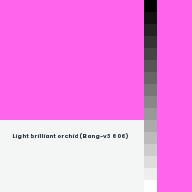 Color chip: Light brilliant orchid (Bang-v3 606)