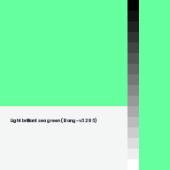 Color chip: Light brilliant sea green (Bang-v3 293)