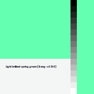 Color chip: Light brilliant spring green (Bang-v3 305)